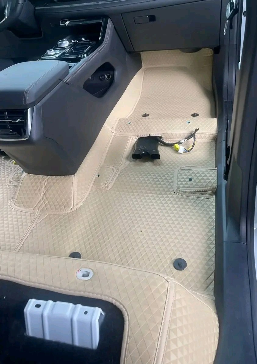 Car Mat 2